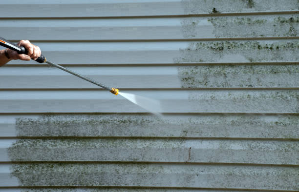 Best Best Pressure Washing Companies  in Harvard, IL