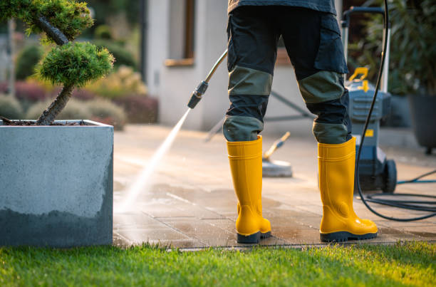 Best Pressure Washing Company Near Me  in Harvard, IL